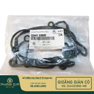 GIOANG GIAN CO 2244123800-MB