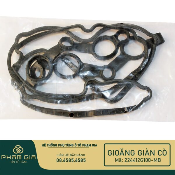 GIOANG GIAN CO 224412G100-MB