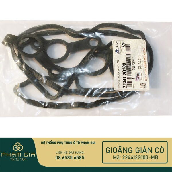 GIOANG GIAN CO 224412G100-MB