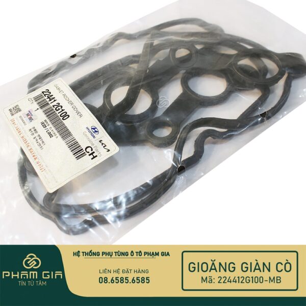 GIOANG GIAN CO 224412G100-MB