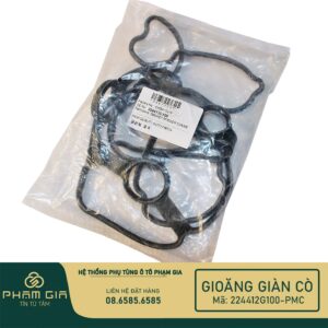 GIOANG GIAN CO 224412G100-PMC