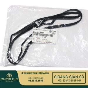 GIOANG GIAN CO 224413E021-MB