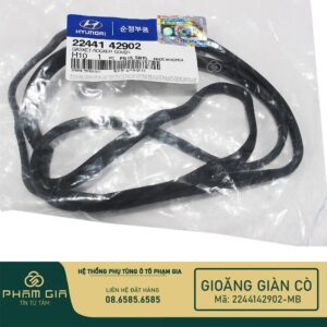 GIOANG GIAN CO 2244142902-MB