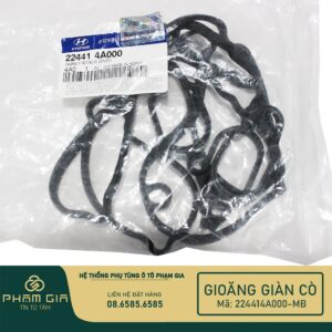 GIOANG GIAN CO 224414A000-MB