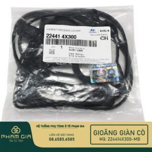 GIOANG GIAN CO 224414X300-MB