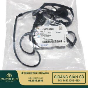 GIOANG GIAN CO 96353002-GEN