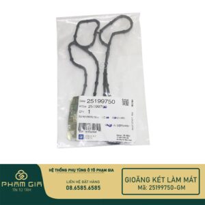 GIOANG KET LAM MAT 25199750-GM