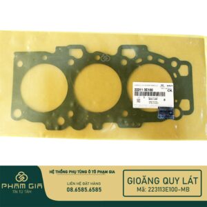 GIOANG QUY LAT 223113E100-MB