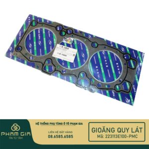GIOANG QUY LAT 223113E100-PMC