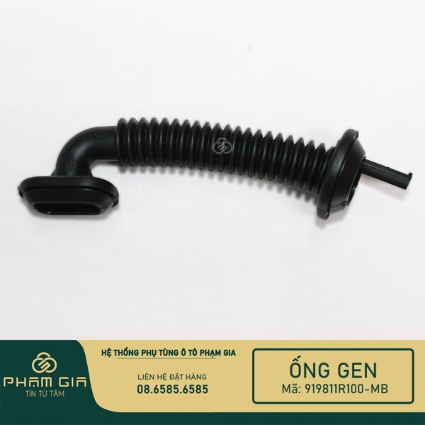 ONG GEN DAY DIEN CANH CUA 919811R100-MB