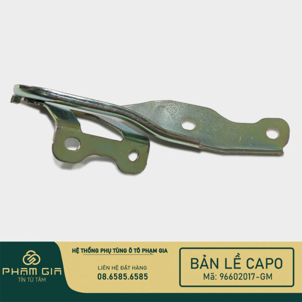 BAN LE CAPO 96602017-GM