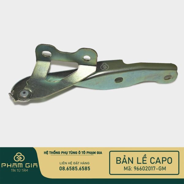 BAN LE CAPO 96602017-GM