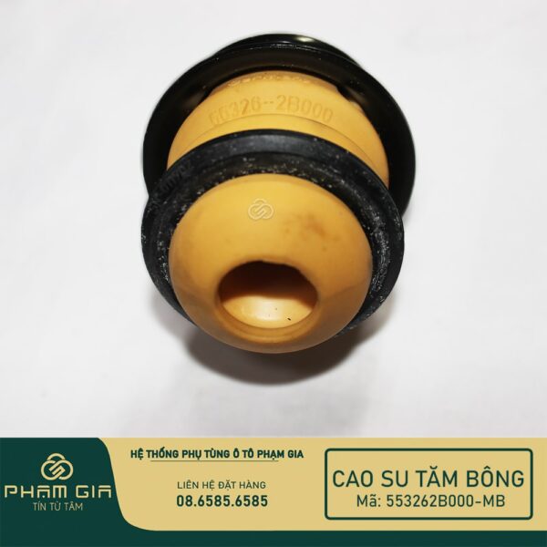 CAO SU TAM BONG 553262B000-MB