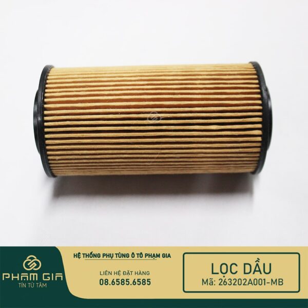 LOC DAU GIAY 263202A001-MB