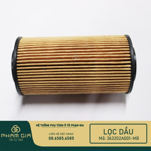 LOC DAU GIAY 263202A001-MB