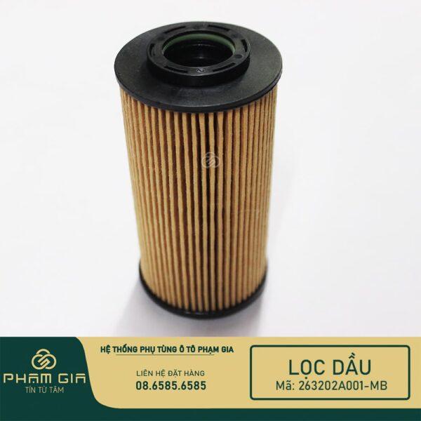 LOC DAU GIAY 263202A001-MB