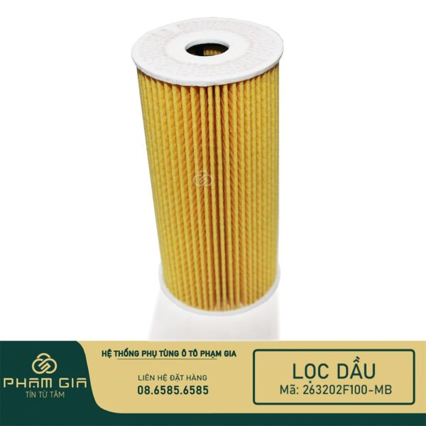 LOC DAU GIAY 263202F100-MB