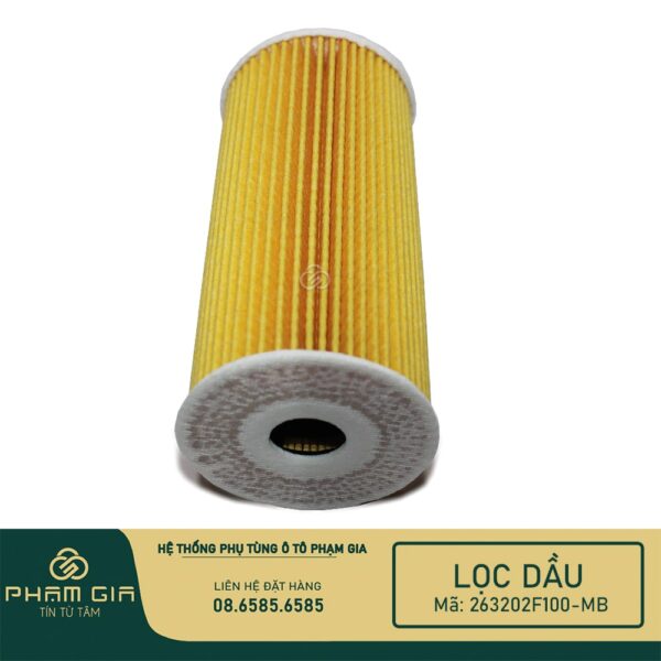 LOC DAU GIAY 263202F100-MB