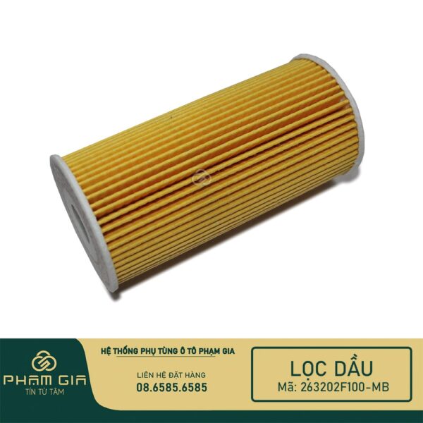 LOC DAU GIAY 263202F100-MB