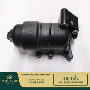 LOC DAU KEM DE 263102F000-MB