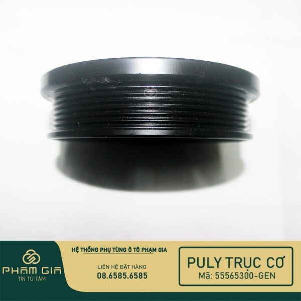 PU LY TRUC CO 55565300-GEN