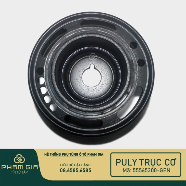 PU LY TRUC CO 55565300-GEN