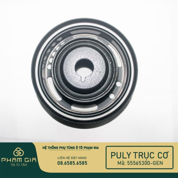 PU LY TRUC CO 55565300-GEN