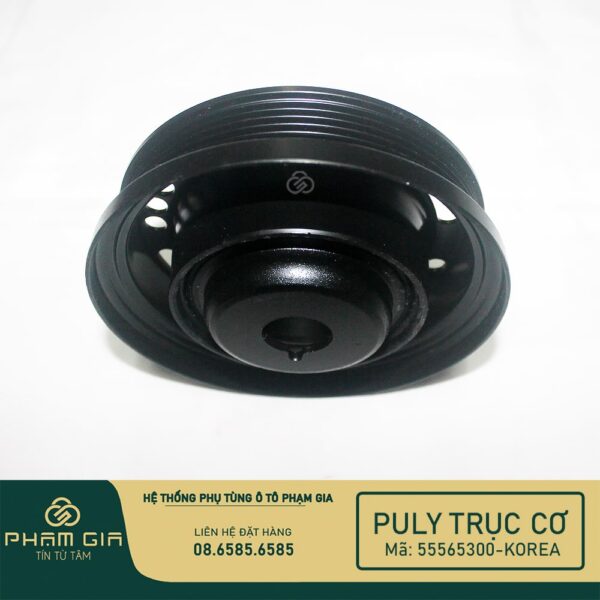 PU LY TRUC CO 55565300-KR