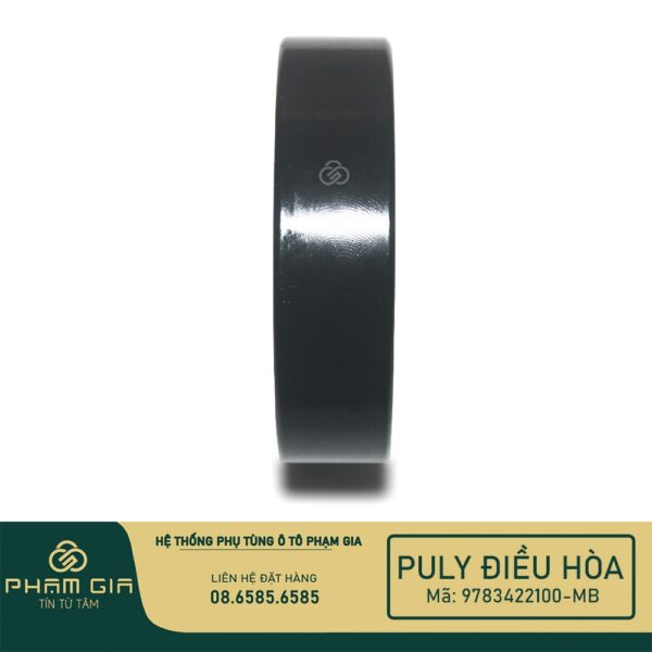 PULY TANG DIEU HOA 9783422100-MB