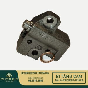 BI TANG CAM 244102B000-KR