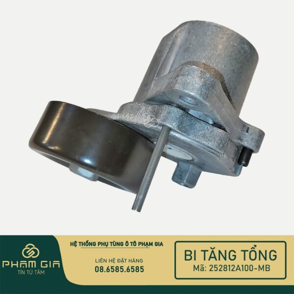 BI TANG TONG 252812A100-MB