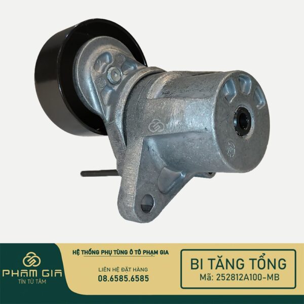 BI TANG TONG 252812A100-MB