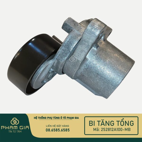 BI TANG TONG 252812A100-MB