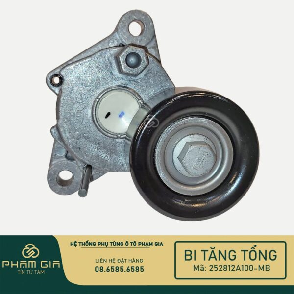 BI TANG TONG 252812A100-MB