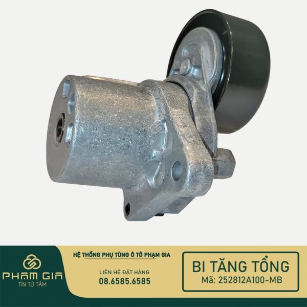 BI TANG TONG 252812A100-MB