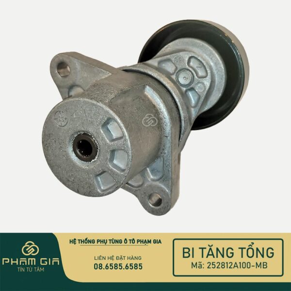 BI TANG TONG 252812A100-MB