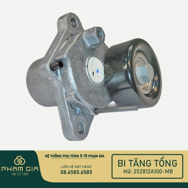 BI TANG TONG 252812A100-MB