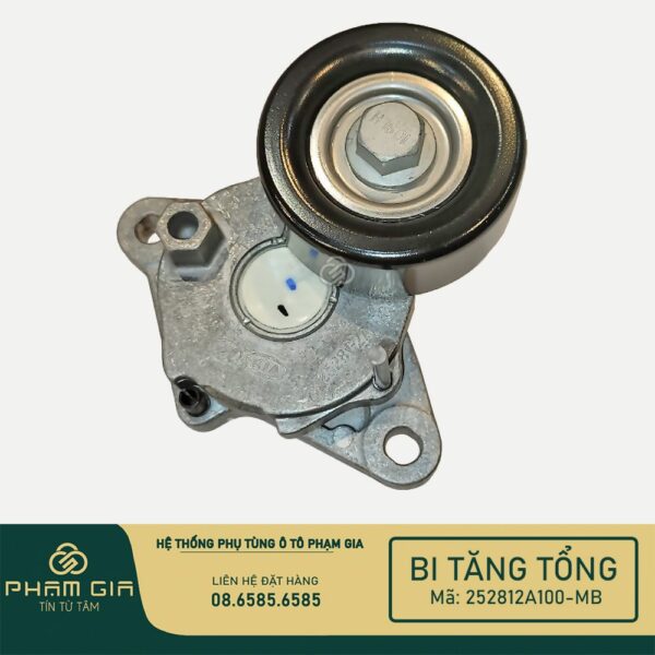 BI TANG TONG 252812A100-MB