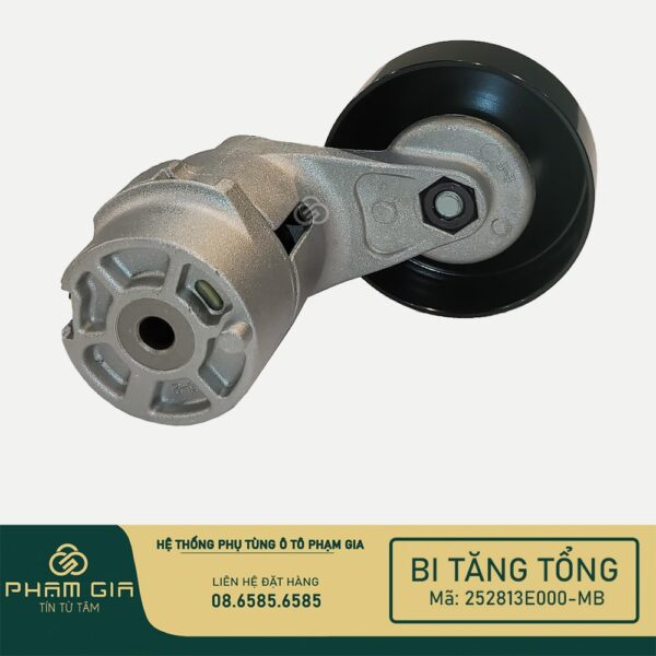 BI TANG TONG 252813E000-MB