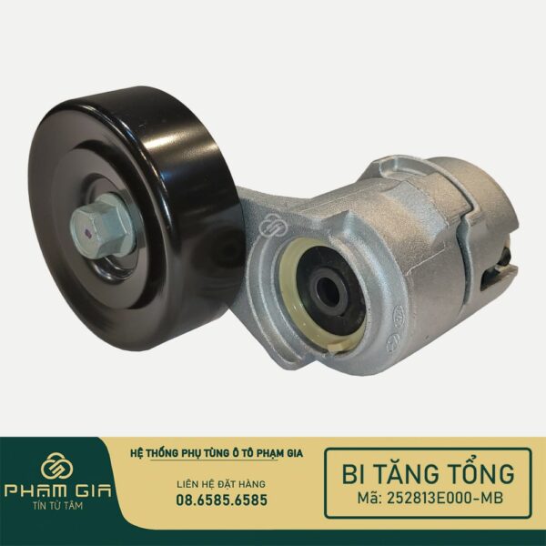 BI TANG TONG 252813E000-MB