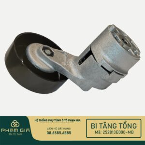 BI TANG TONG 252813E000-MB
