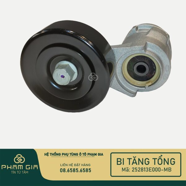 BI TANG TONG 252813E000-MB