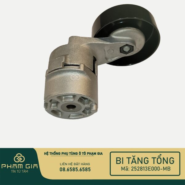 BI TANG TONG 252813E000-MB