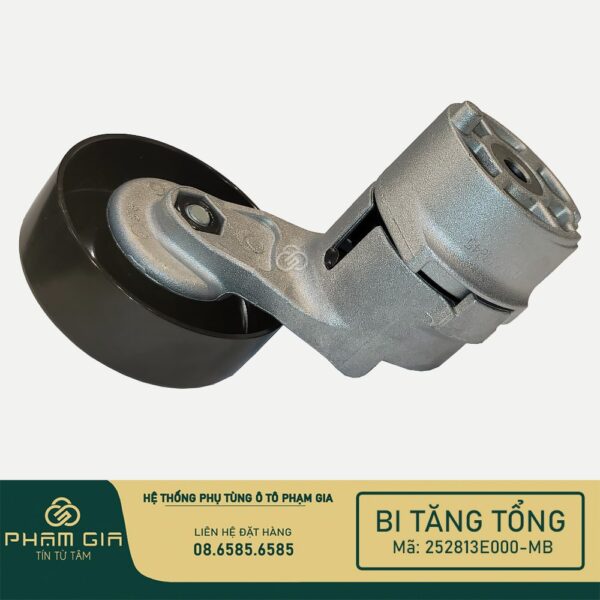 BI TANG TONG 252813E000-MB