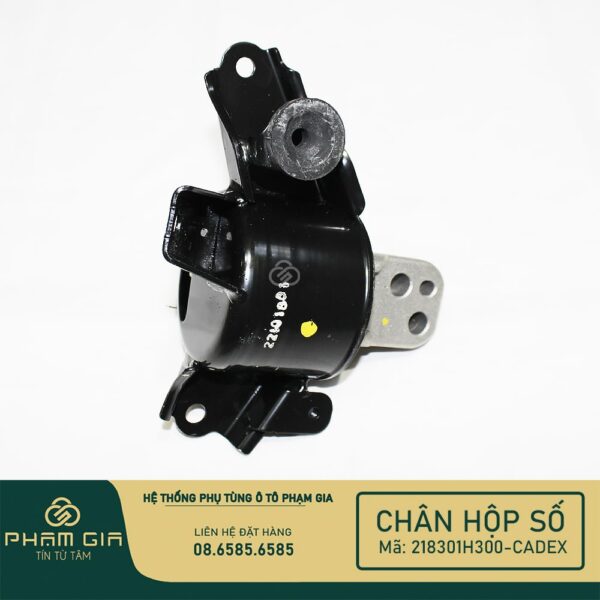 CHAN HOP SO 218301H300-CADEX