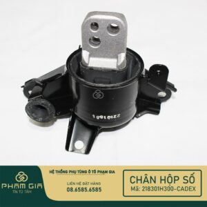 CHAN HOP SO 218301H300-CADEX
