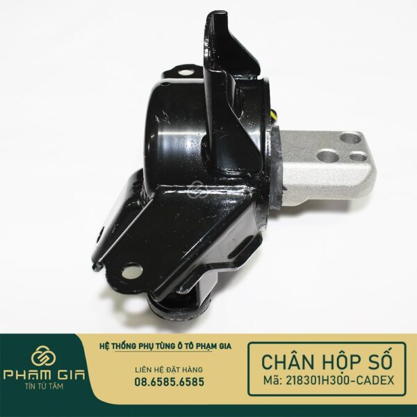 CHAN HOP SO 218301H300-CADEX