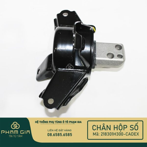 CHAN HOP SO 218301H300-CADEX