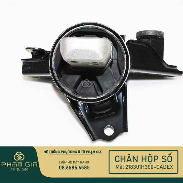 CHAN HOP SO 218301H300-CADEX