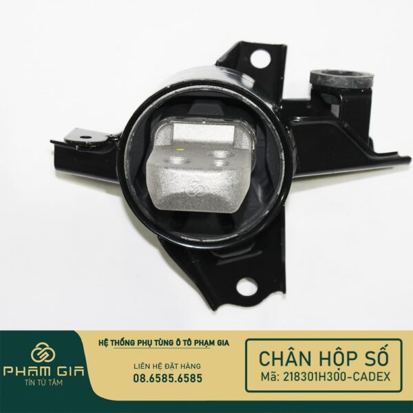 CHAN HOP SO 218301H300-CADEX